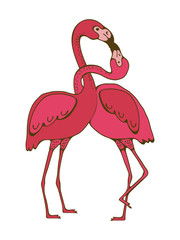 Flamingo couple kissing romantic poster