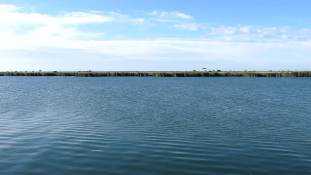 Avioneta de fumigaci&oacute;n contra larvas de mosquito sobre marismas / Fumigation aircraft against mosquito larvae on marshes