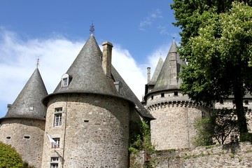 Fototapeta na wymiar château de Pompadour,haras national,Corrèze,Limousin