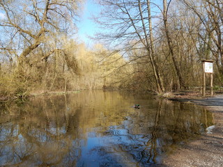 Winterlandschaft am See
