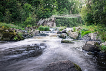 Landscape with river and lush trees at summer time