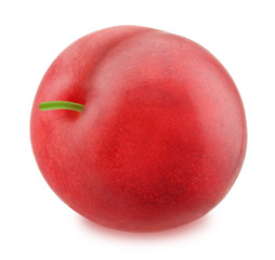 Fresh red plum isolated