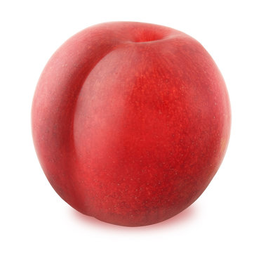 Fresh red plum isolated