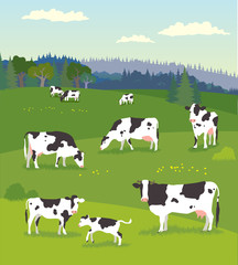 Obraz na płótnie Canvas Landscape with Pasturing Cows with Baby Cows