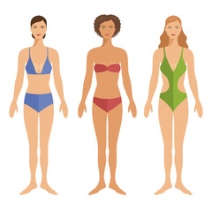 Set of young woman in swimsuits.