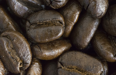Coffee seed