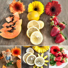 Diptych, still-life, macro-petals of gerbera, papaya, lemon, strawberry, yellow, orange and red gerbera