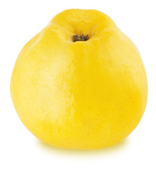 Ripe apple-quince isolated