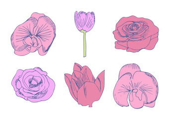 Vector icon set of flowers