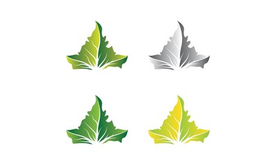 Sycamore Leaf Logo