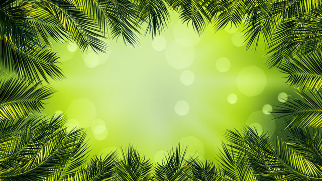palme, palmwedel, palmblätter von unten auf grünem hintergrund, rahmen