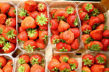 strawberries