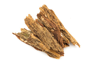 Bark tree isolated on white background,(nomnang)Thailand herbs,Herbal breast milk