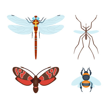 Colorful insects icons isolated wildlife wing detail summer bugs wild vector illustration