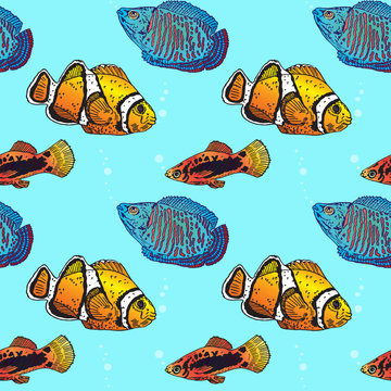 Clownfish, Variatus Platy, Dwarf gourami, seamless pattern design, hand drawn doodle, sketch in pop art style, color illustration