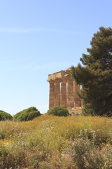 Fototapeta na wymiar griechische Tempelruinen