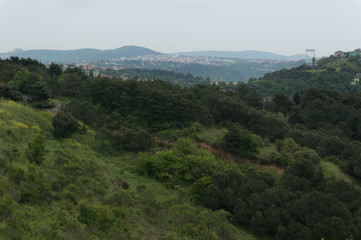  Remote view of Asia