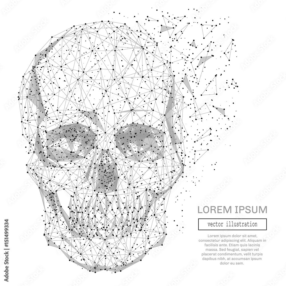 Poster Grey skull with polygon line on abstract background. Polygonal space low poly guard with connecting dots and lines. Connection structure. Vector background.