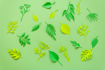 Trendy Summer Tropical Leaves