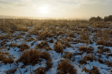 Sunrise over wild grass with water drops from melting snow and low fog in the distance