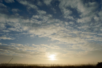 Fototapeta premium Sun breaking trough clouds coloring the sky and wild grass with low fog on a cold morning