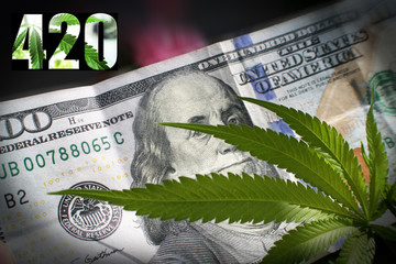 Marijuana Leaf With Hundred & 420 Logo High Quality 