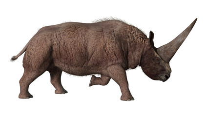 Fototapeta premium 3D Rendering Elasmotherium on White