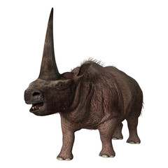 Fototapeta premium 3D Rendering Elasmotherium on White