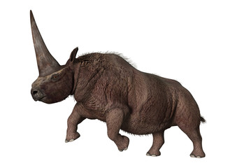 Fototapeta premium 3D renderowania Elasmotherium na białym tle