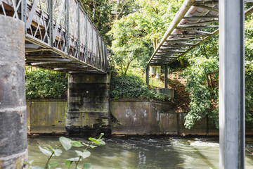 Sunny Day At The Beautiful Nature Outdoors