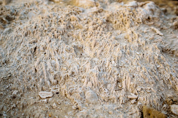 Erosed stone sandy texture