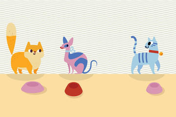 Obraz premium Three different cartoon cats and bowls next to them