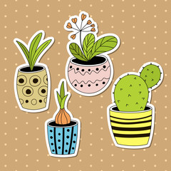 Set of four potted houseplants in a hand-drawn style. Vector illustration.