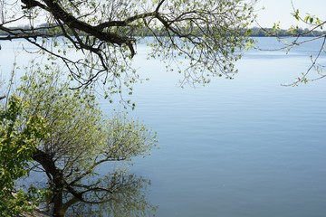 Natur pur am Ismaninger Speichersee - Panorama im Frühling