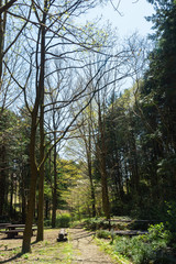 せせらぎの径　/　Green area Promenade