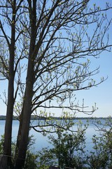 Fototapeta premium Natur pur am Ismaninger Speichersee - Panorama im Frühling
