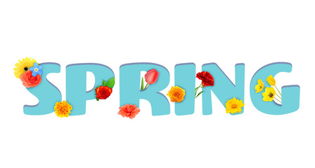 Word SPRING and and beautiful flowers on white background