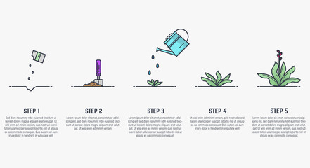Growing plant stages. Seeds, watering can, sprout and grown plant. House plant in flowerpot. Line style flat illustration of house plant with leaves in pot. Thin lines. Grow process.
