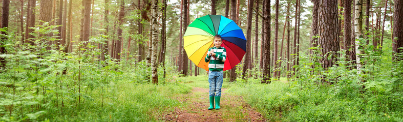 Childg in the park with colourful umbrella. Boy in rainy weather in the forest