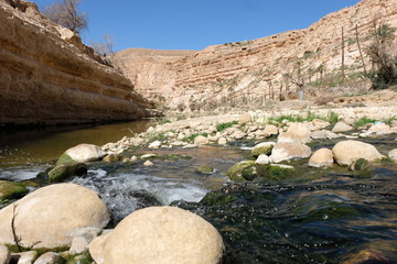 Au bord de la rivière 