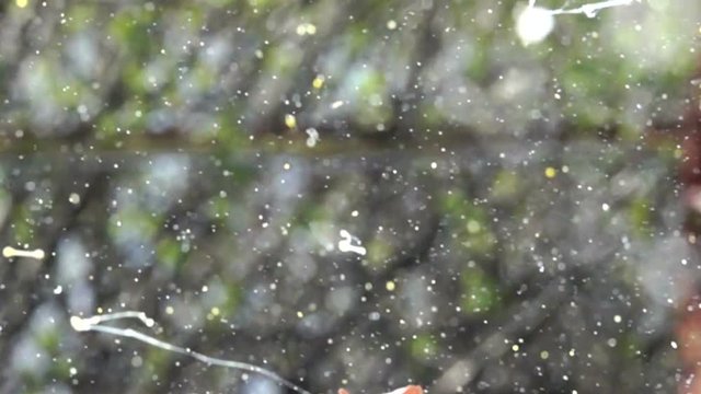 eggs explosion slow motion HD video