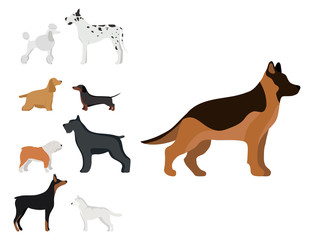 Funny cartoon dog character bread in cartoon style vector illustration.