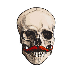 Hand drawn human skull with curled upward hipster red moustache, sketch style vector illustration isolated on white background. Realistic front view hand drawing of human skull with moustache, whisker