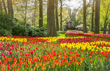 Keukemhof Romantic Blooming Gardens Landscape Lisse Holland