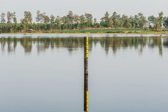 Water Level Indicator At The Waterway Or Swamp