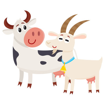 Farm black spotted cow looking at white smiling goat, cartoon vector illustration isolated on white background. Cute and funny farm goat and cow with friendly faces and big eyes