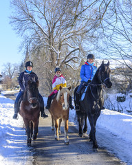 Ausritt zu dritt im Winter