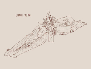 Vector illustration of hand drawn sushi with smoked eel.