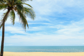 Fototapeta na wymiar Coconut palm tree and sky on tropical beach