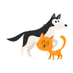Husky dog dog and red cat, kitten characters, pets, friendship concept, cartoon vector illustration isolated on white background. Husky dog dog and red cat characters, friends